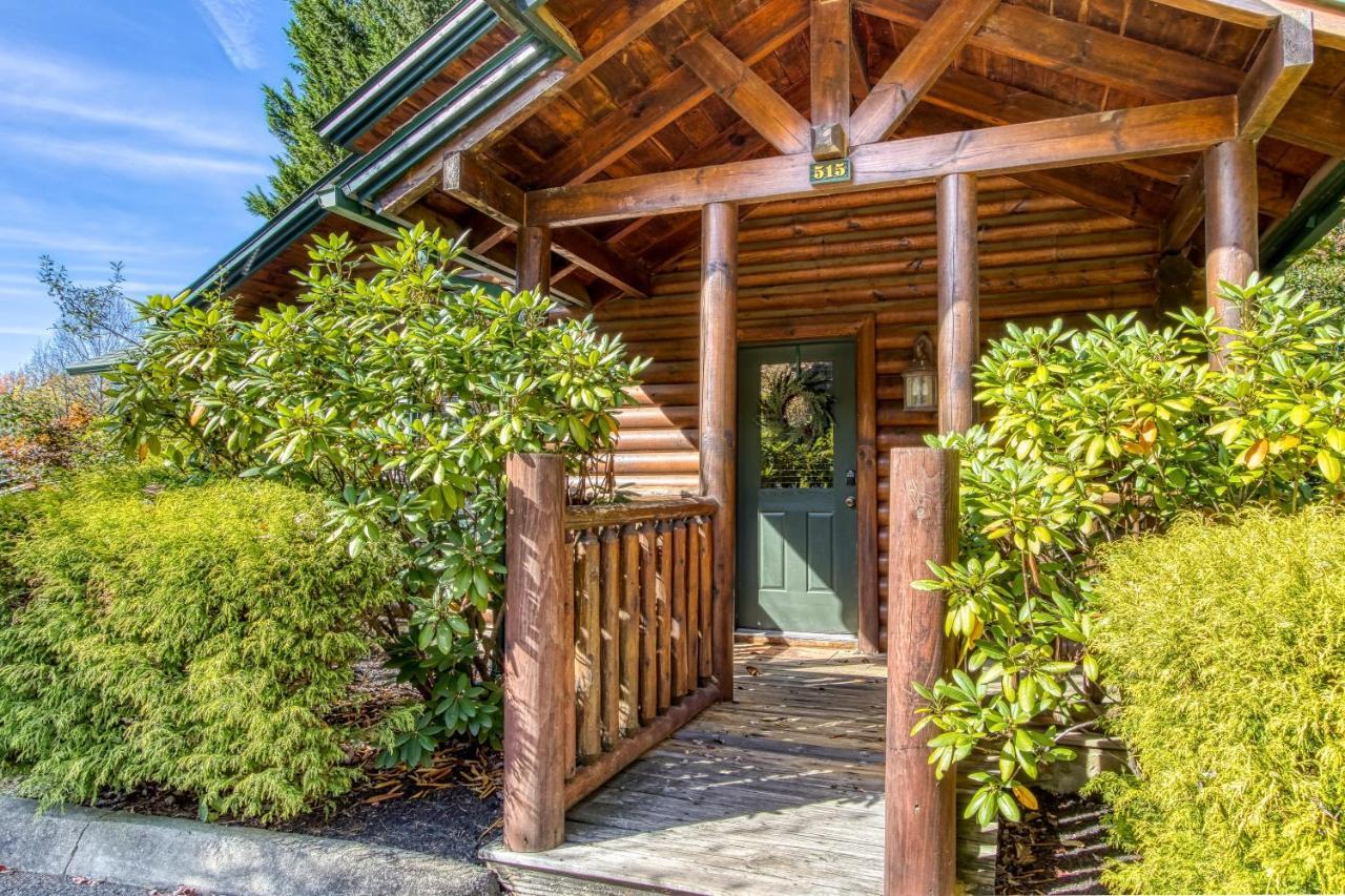 Dog Friendly, Romantic Mtn Getaway Hot Tub Pool Gatlinburg Εξωτερικό φωτογραφία