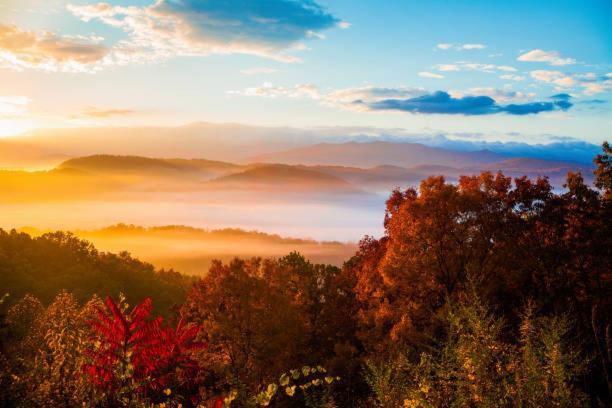 Dog Friendly, Romantic Mtn Getaway Hot Tub Pool Gatlinburg Εξωτερικό φωτογραφία