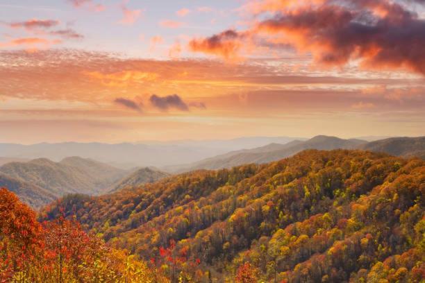 Dog Friendly, Romantic Mtn Getaway Hot Tub Pool Gatlinburg Εξωτερικό φωτογραφία